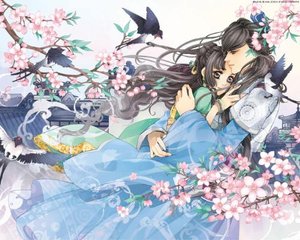 老狼官网